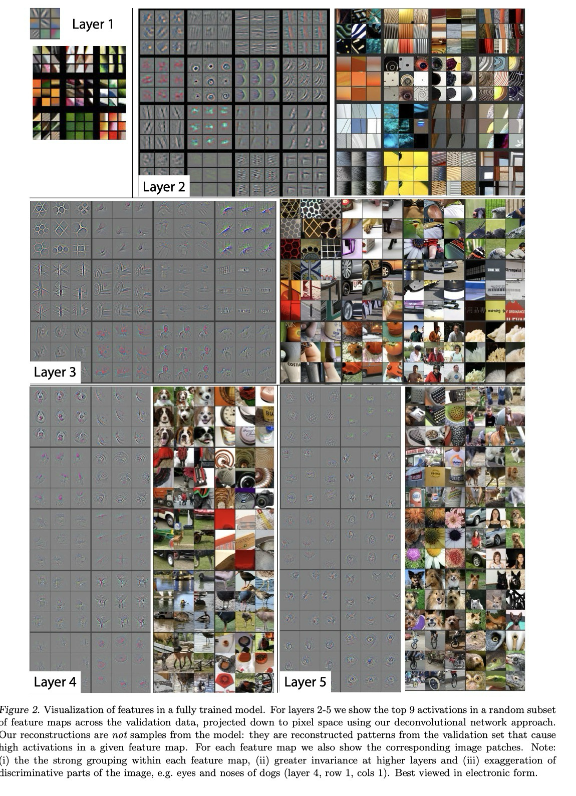 Feature Visualization across Layers