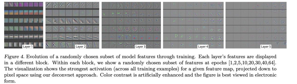Feature Evolution during Training